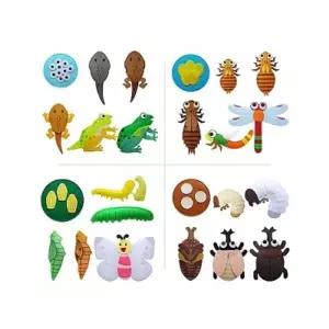 드림디포 청양토이 동물의한살이(개구리) 개/1 366091