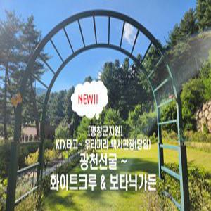 평창군 지원 택시투어 5탄! 광천선굴 & 보타닉가든&화이트크로우(당일)