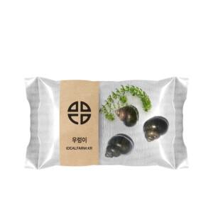 살아있는 우렁이 3마리 키우기 관찰용우렁이