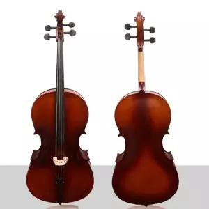 피나무 입문용 첼로 14 (WFHJMEO)