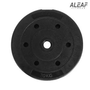 [아리프] 플렉스 원판 20kg 1개입 덤벨 홈짐 홈트