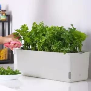 프레시가든자동급수화분상추토마토베란다텃밭 (WFHGATJ)