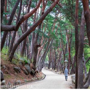 [KTX-2박](NEW)*호텔* 빛깔고운 올인원 미식여행(부산/마산/진주/통영/거제)