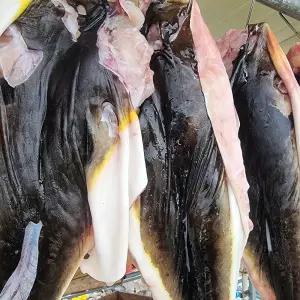 나라수산 동해안 자연산 손질 복어 밀복