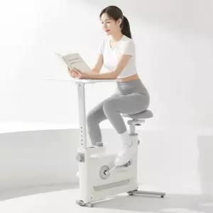 이고진 실내자전거 헬스사이클 데스크 바이크