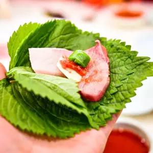 산지 동해 소방어 필렛 500g 대방어 국내산 제철생선회 당일손질