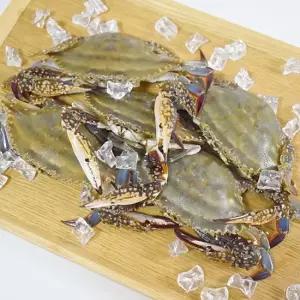 서해안 활 암꽃게 1kg