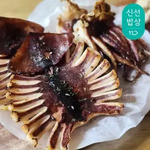 국내산 반건조 오징어 피데기 / 중 1kg내외 10미
