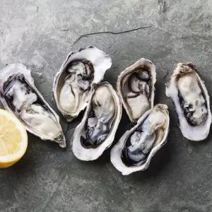 100%국내산 제철 바위굴 석화 각굴 5kg 통영의 신선함을 그대로 발송