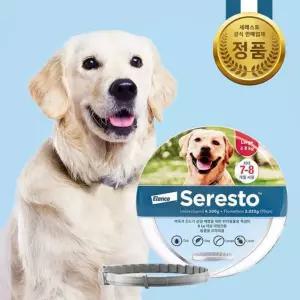세레스토 진드기 목걸리 L 8kg 이상