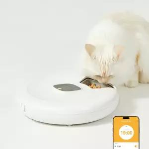 페페 강아지 고양이 6구 자동간식기 습식 화식 블루투스 분리세척 자동급식기