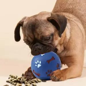 장난감 노즈워크 볼 (블루) 간식 스낵공 노즈워크 장난감볼 간식공 놀이공 스낵볼