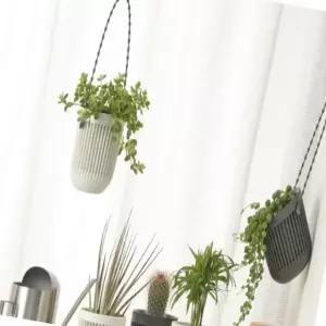행잉 화분 아이보리 벽걸이 식물 베란다 녹색 저면관수 (WFJ5T68)