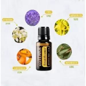 뷰티관리 도테라 엘리베이트 엘리베이션 업그레이드 상품 15ml