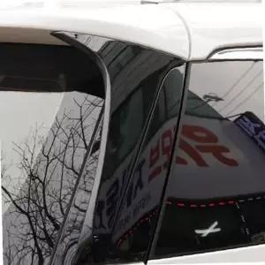 카니발 리어윙 사이드윙 튜닝 더뉴