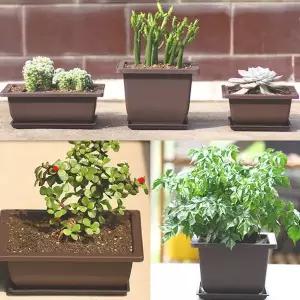 다육이 사각화분 미니 다크닉사각화분 1213트레이