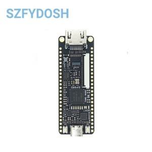 호환 Tang 9K FPGA 개발 보드  GOWIN RISC-V HDM 키트