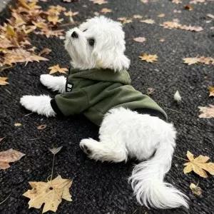 댕댕이 겨울 외출용 플리스 후드점퍼 외투 P65974