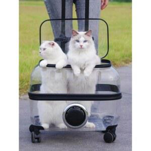 외출용 이동장 바퀴 이동가방 강아지산책가방 애완 고양이집 기내용 애견 접이식 백팩