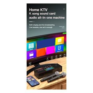 N15R-SY168 사운드 카드 라이브 방송 스피커 노래 용 다기능 올인원 블루투스 기계