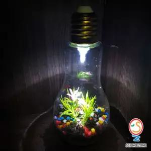 전구테라리움 5인용 초등과학실험키트테만들기 DIY전 식물의생활학습 생물과환경 실내가드닝만들기 생명실