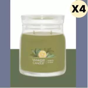 양키캔들 시트러스 자캔들 M 향초 홈파티 홈데코 X4