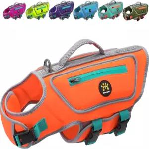 높은 부력을 가진 소형견을 위한 셰리펫 반려견 구명조끼 수영용 경량 네오프렌 구조 손잡이 반려동물