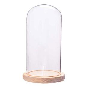 유리돔 케이스 투명 프로포즈 8cm 케이크 신부 장미 드라이플라워 기본 5X7cm 파티