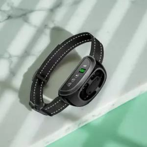 강아지 못짖게 하는 법 녹음버튼 짖음방지 입마개 목걸이 자동 제어