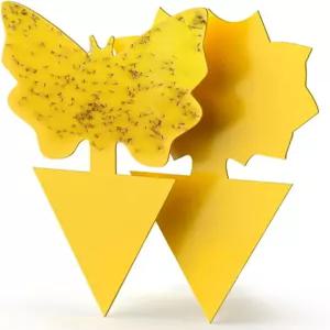 끈적끈적한 곤충 덫 40개 - 실내용 그나츠 초파리 노란색 양면 포획자 곰팡이 흰파리 진딧물 잎 광부