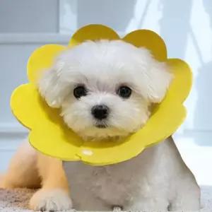 강아지 발사탕 애견 보습제 습진 샴푸 연고 피부크림  넥카라