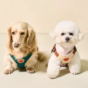 강아지 아기베어 하네스 리드줄 세트