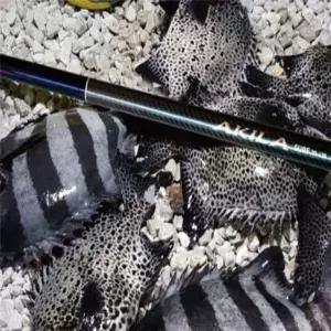 서프 낚시용 민물 원투 캐스팅대 450cm 피싱로드