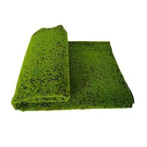 잔디 식물 인공 이끼 거실 바닥 벽 자연 카펫 조경 홈