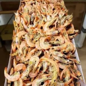 건보리 새우 먹새우 두절 참 국산 육수용 수제 건홍 말린 볶음