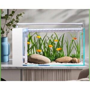 무환수어항 스마트어항 수족관 구피 수조 유리 가정용