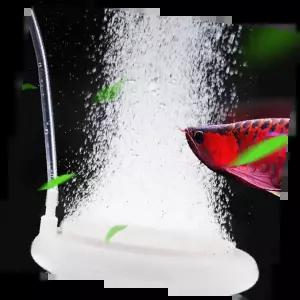 어항에어디퓨저 향기로운 수조 공기 청정기 수생식물 전용 조용한 디자인 인테리어 소품