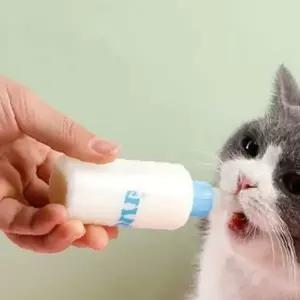 쌍문상회 동물용 젖병 세트 강아고양이 60m