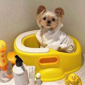 강아지욕조 고양이 애견 실 대형견욕조 병원 35CM 44x31.5x16 스탠딩