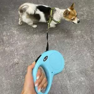 강아지 산책 자동 리드줄 블루 5m