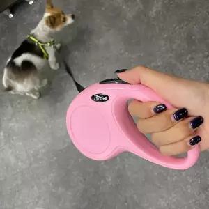 강아지 산책 자동 리드줄 핑크 5m