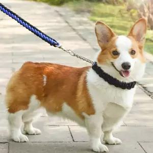 대형견 목줄 리드줄 강아지줄 트위스트 애견리쉬 강아지리드줄