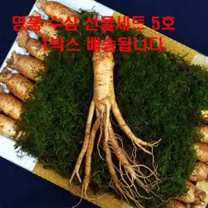 수삼 금산 고려 인삼 6년근 5년근 수삼 명절 선물세트