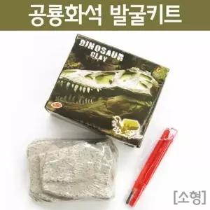 석고화석 안에 있는 공룡화석 발굴하기 소형 실험교구