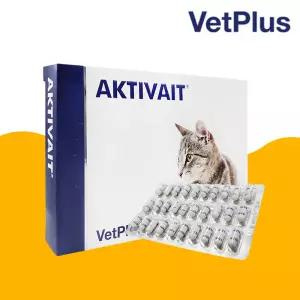 액티베이트 캣 60캡슐 반려묘 항산화제 두뇌영양보조제