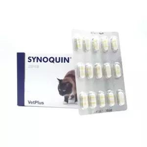 사이노퀸 캣 고양이 30캡슐 관절영양제