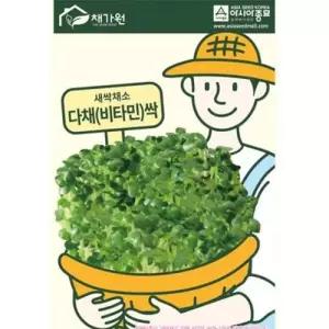 30g 다채종자 새싹채소씨앗 비타민싹 WFLPJM8