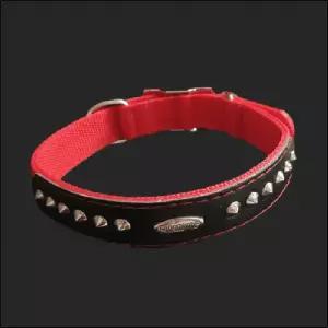 ( )PP별목줄 개목줄 30mm 66cm 빨강 강아지 목걸이 고급 목줄 대형견 중형견 러프웨어목줄 애견 진돗개