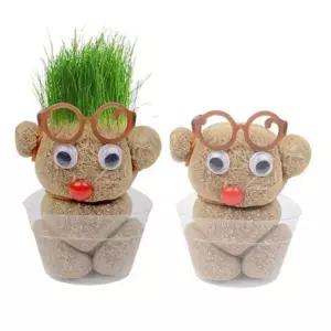 자연관찰 실내정원 홈가든 는 식물관리팁 자연학습 잔디인형 머리잔디 머리가 반려식물 키우기 식물기르기