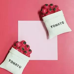 마그넷 음식 봉투 모형 토마토 (WFKBL52)